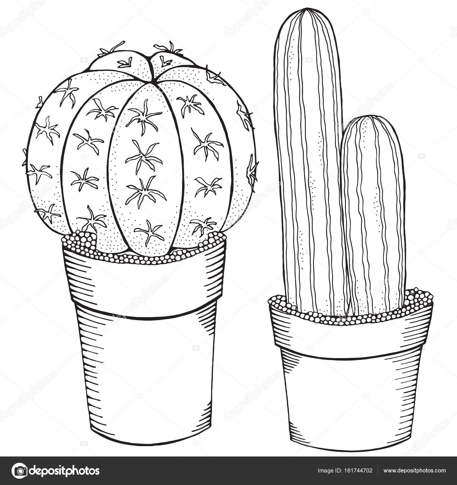 Hand Drawn Succulents In Pots Stock Vector Image By C Imhope Yandex Ru Hand Drawn Succulents In Pots Stock Vector Image By C Imhope Yandex Ru