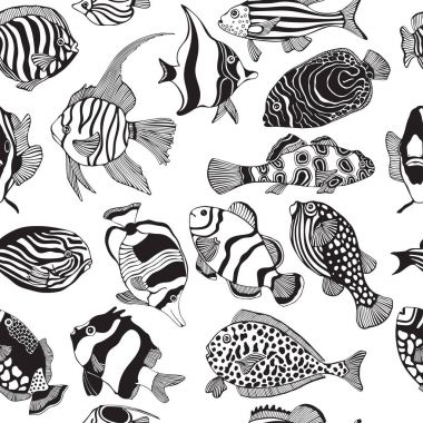 Egzotik tropikal balıklar