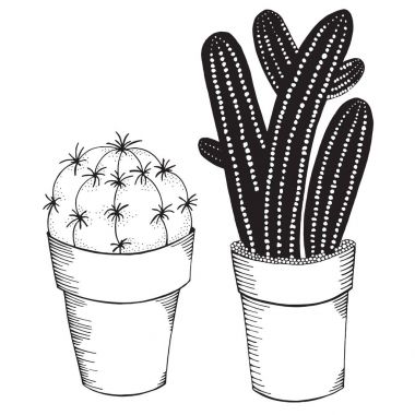 Tencere çizilmiş succulents el