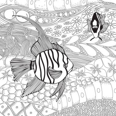 Egzotik tropikal balıklar