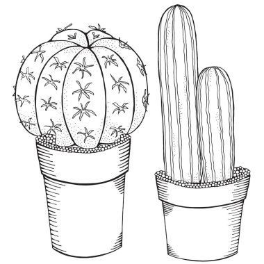 Tencere çizilmiş succulents el