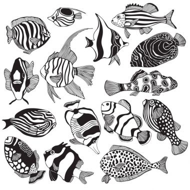 Egzotik tropikal balıklar