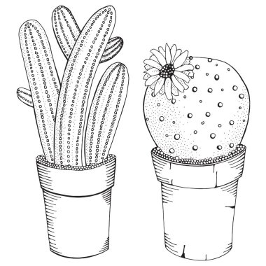 Tencere çizilmiş succulents el