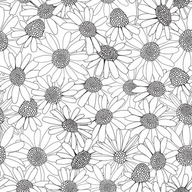 çizilmiş papatya çiçeği