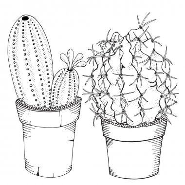 Tencere çizilmiş succulents el