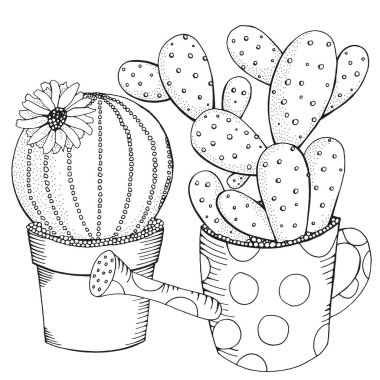 Tencere çizilmiş succulents el