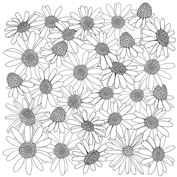 カモミールの花の手描き — ストックベクタ