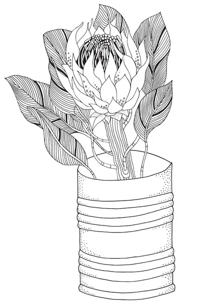 Protea 꽃 예술 — 스톡 벡터