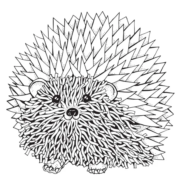 Ornamental prickly hedgehog — Stock Vector