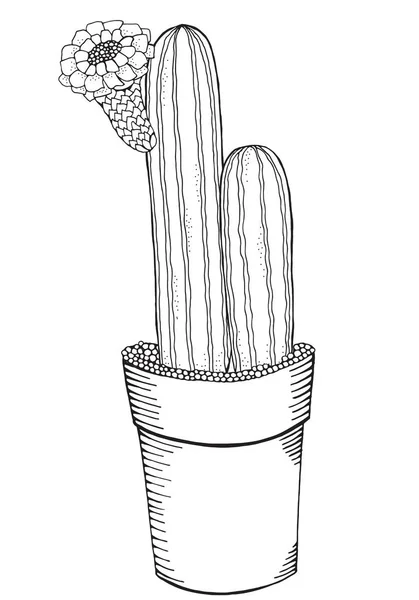 Cactus dibujado a mano con flor — Archivo Imágenes Vectoriales