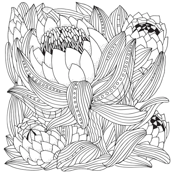 Protea 꽃 예술 — 스톡 벡터
