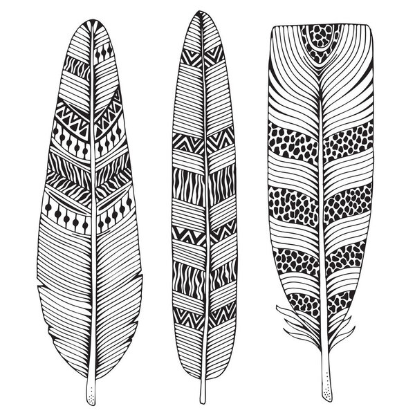 Set of hand-drawing feathers 