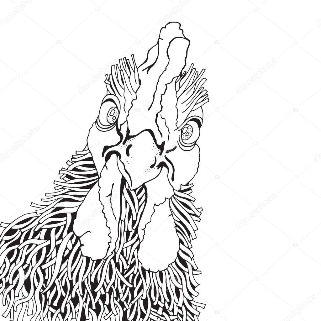 Hand-drawn rooster in zentangle style