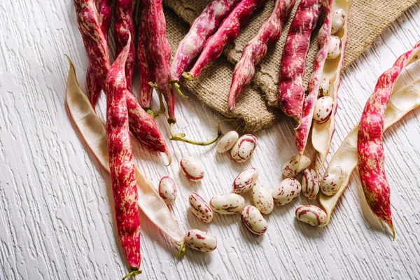 Rote Schalen Bohnen — Stockfoto