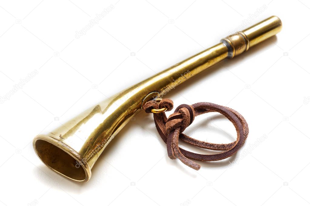 Old brass cornet 