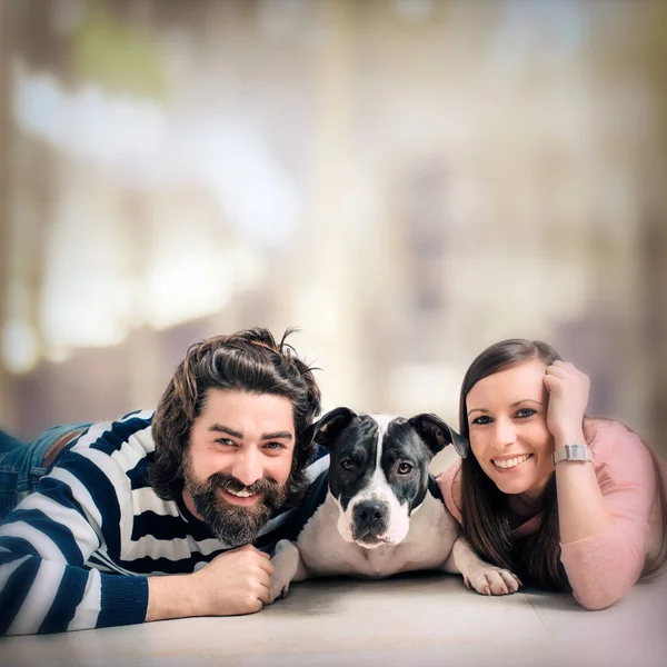 Casal jovem posando com cão — Fotografia de Stock