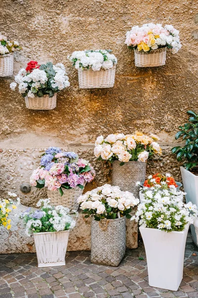 Vases of flowers in street