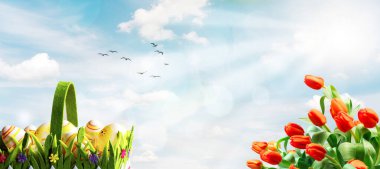 Güneşli bir bahar arka planında süslü Paskalya yumurtaları sepeti