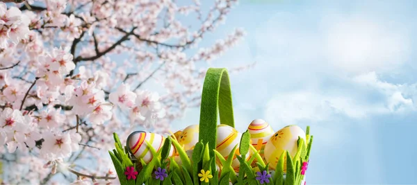 Güneşli Bir Bahar Arka Planında Süslü Paskalya Yumurtaları Sepeti — Stok fotoğraf