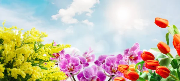 Arranjo Floral Primavera Fundo Céu Ensolarado Conceito Primavera — Fotografia de Stock
