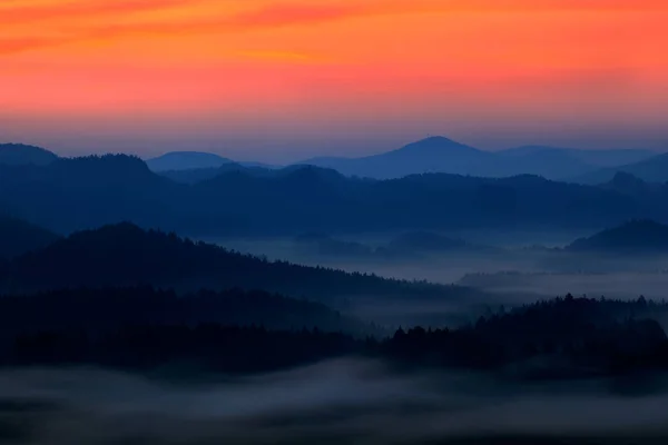 Hügel mit Bäumen im Nebel — Stockfoto