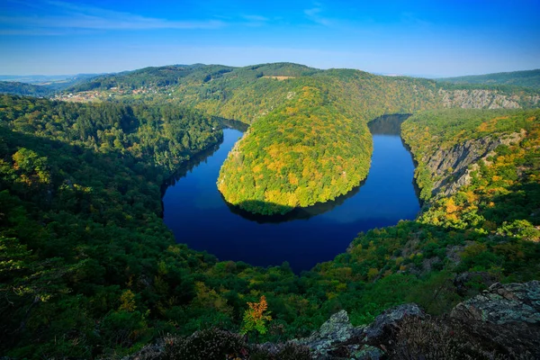 Сосновий ліс і озеро — стокове фото