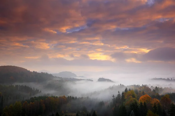 Colline e alberi con nebbia mattina — Foto Stock
