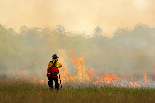 นักดับเพลิงที่มีเปลวไฟในธรรมชาติ ภาพถ่ายสต็อกที่ปลอดค่าลิขสิทธิ์