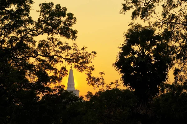 Starověký chrám v Anuradhapura — Stock fotografie