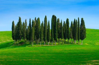 Tuscany landscape in summer clipart