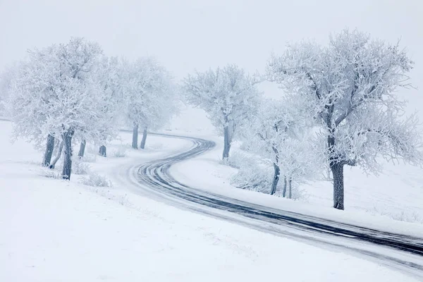 白雪皑皑的冬天路 — 图库照片