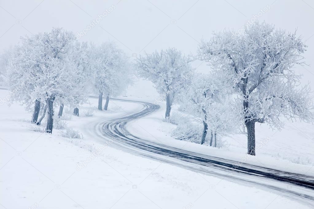 Snowy winter road 