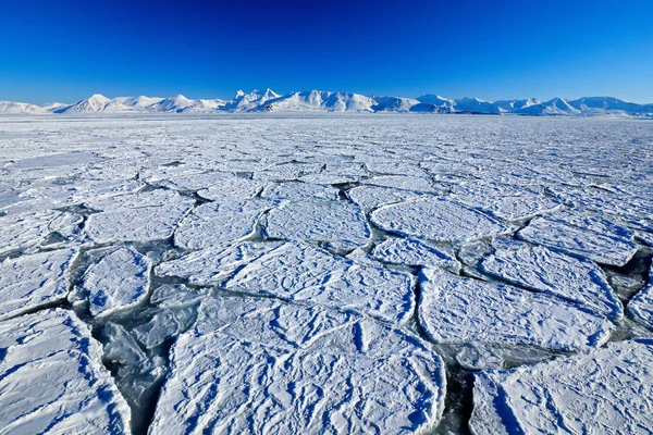 Inverno Paisagem ártica — Fotografia de Stock