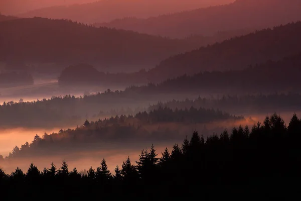 Kalter nebliger Morgen mit Sonnenaufgang — Stockfoto