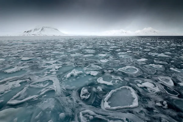 Inverno Gelo ártico no oceano — Fotografia de Stock