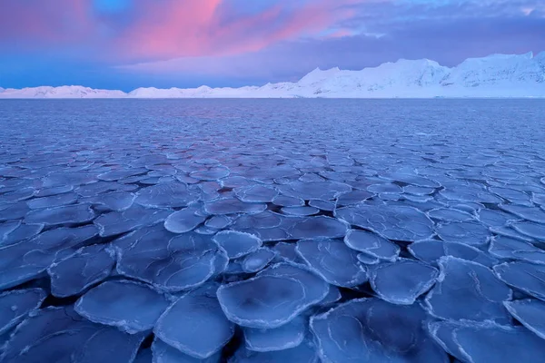 Biały śnieg niebieski lodowiec lód z widokiem na morze — Zdjęcie stockowe