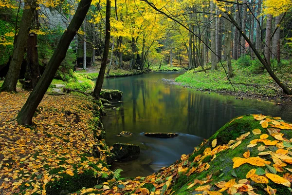 Paesaggio verde con fiume e alberi — Foto Stock