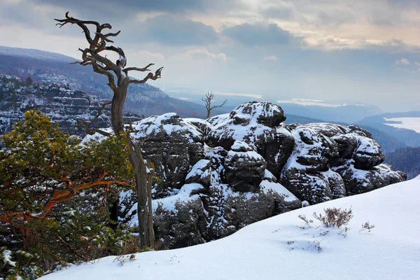 欧洲景观的冬天 — 图库照片