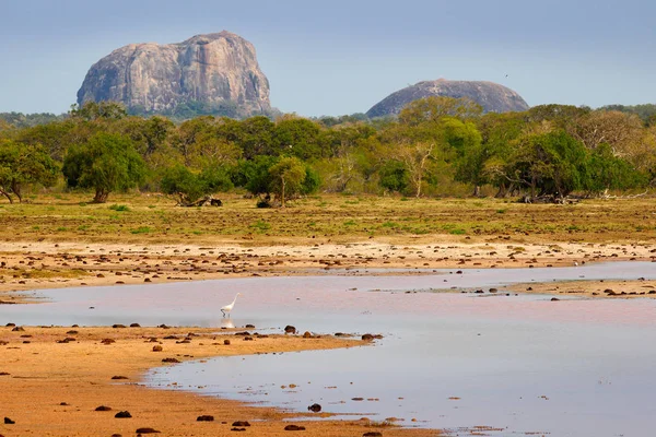 Vista do Parque Nacional de Yala — Fotografia de Stock