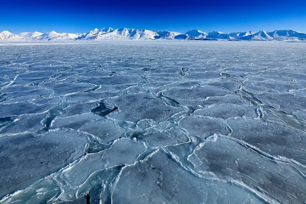 白雪山 — 图库照片