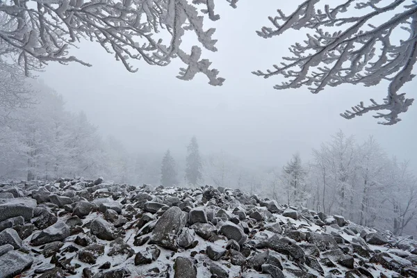 Stone on sea landscape with snow