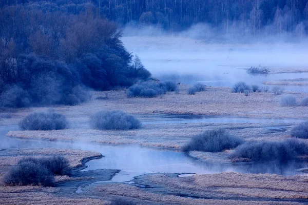 Blaue Winterlandschaft Wald Mit Schnee Eis Und Reif Rosa Morgenlicht — Stockfoto