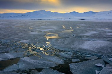 Deniz buz ile akşam, karlı dağ, mavi buzul Svalbard, Norveç beyaz. Okyanusta buz. Kuzey Kutbu buzdağı alacakaranlıkta. Pembe bulutlar buz parçası ile. Güzel manzara. Buz diyarı. Soğuk mavi su.