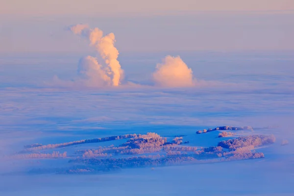 蓝色的冬天的风景 白桦树的森林与雪 冰和雾凇 日出前粉红色的晨光 冬天的黄昏 冰冷的大自然在森林里 Orlicke Hory 捷克共和国 山风景与树 — 图库照片