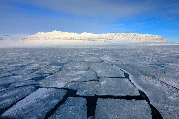 Inverno Ártico Montanha Branca Nevada Glaciar Azul Svalbard Noruega Gelo — Fotografia de Stock