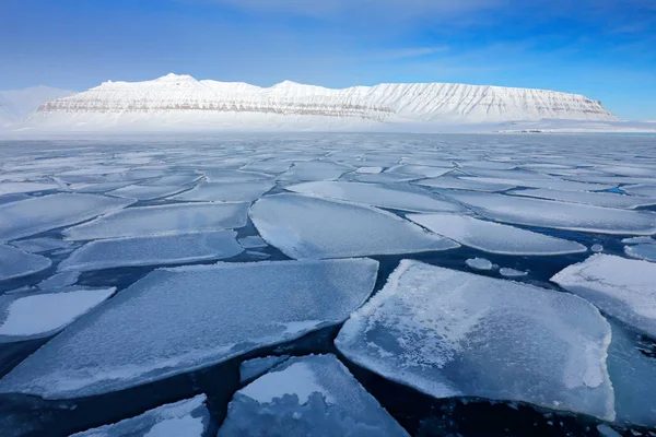 Glace Dans Océan Crépuscule Des Icebergs Pôle Nord Beau Paysage — Photo