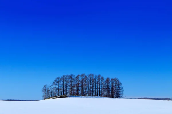 日当たりの良い冬の風景 — ストック写真