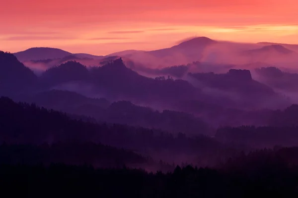 Morgendämmerung. kalter nebliger Morgen mit Sonnenaufgang in einem Falltal des böhmischen Schweizerparks. Landschaft der Tschechischen Republik, Nationalpark Ceske svycarsko. violett rosa Licht mit Hügel — Stockfoto
