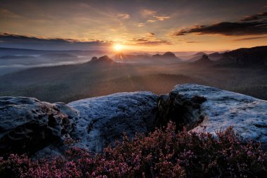 Kleiner Winterberg, kumtaşı uçurumundan Almanya 'nın Saksonya İsviçre' sindeki derin sisli vadiye güzel bir sabah manzarası. Sis ve güzel arka ışık. Stone Hill gün batımı. E 'deki Rocky manzarası