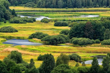 Nehir kenarları olan yeşil orman. Lipno rezervuarı yakınlarındaki Vltava nehri çevresindeki tipik manzara, Çek Cumhuriyeti 'ndeki Sumava milli parkı. Yaz yeşili manzara, Avrupa 'da seyahat..